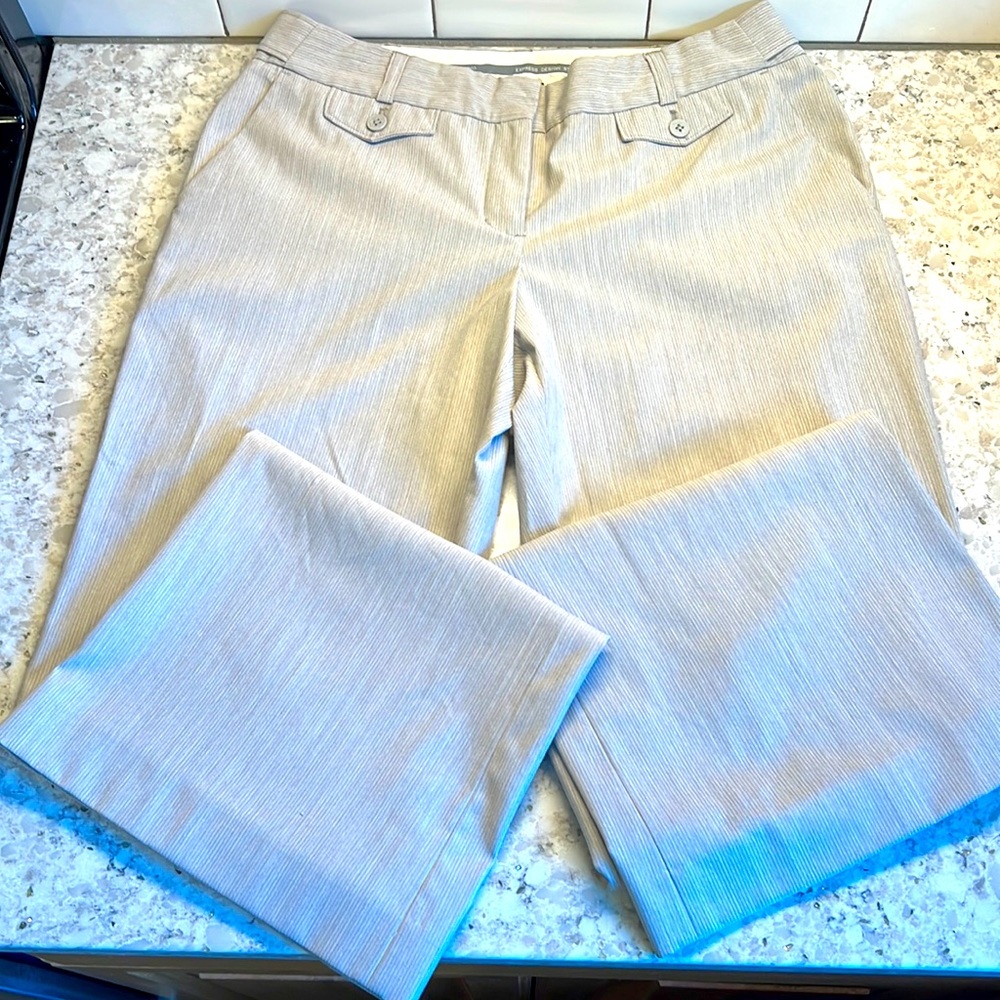 Like New Express Editor Light Gray With Pinstripe… - image 1
